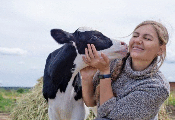 Зоонозы: чем можно заразиться от животных?