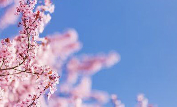 Почему весной хочется ярких красо