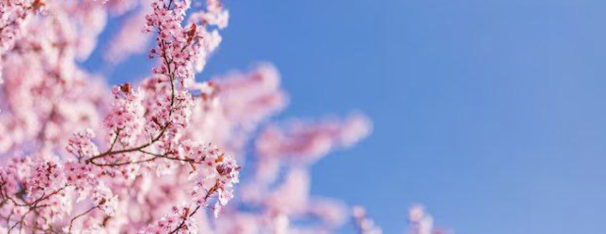 Почему весной хочется ярких красо