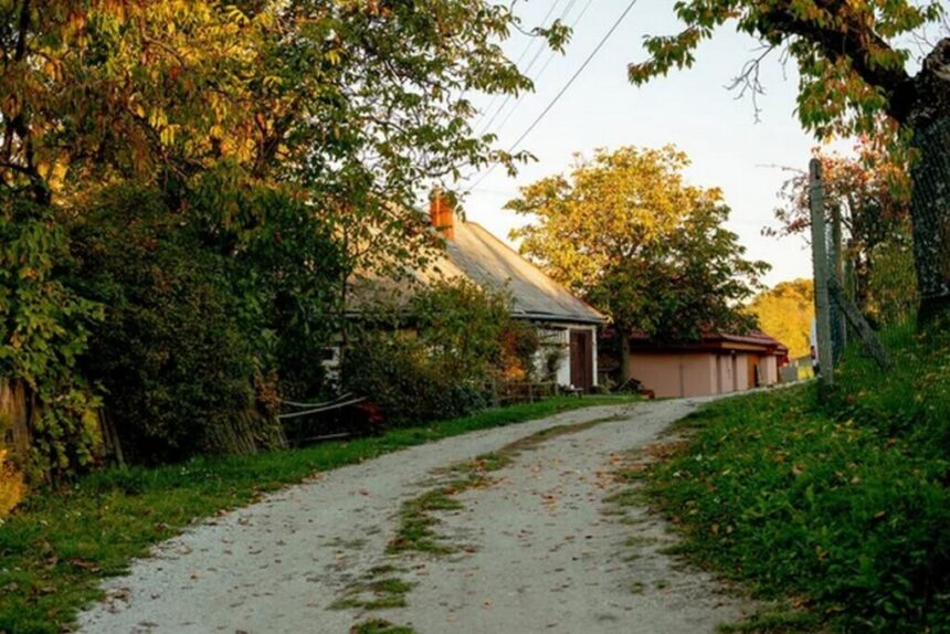 Жизнь на загрязненных территориях