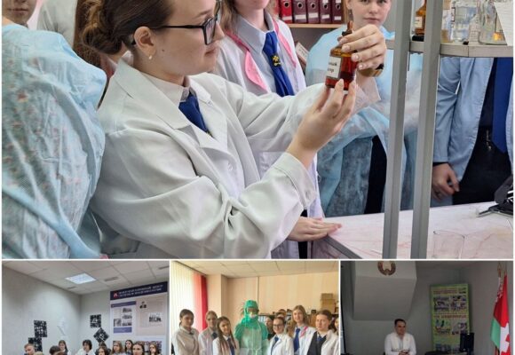 Профориентационная работа СШ1 и Гимназия