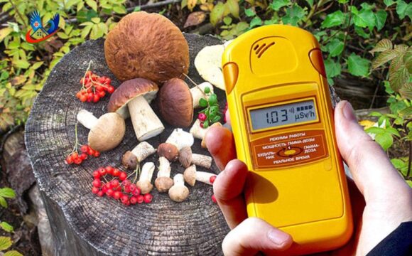 Исследование продуктов питания на содержание радионуклидов цезия-137