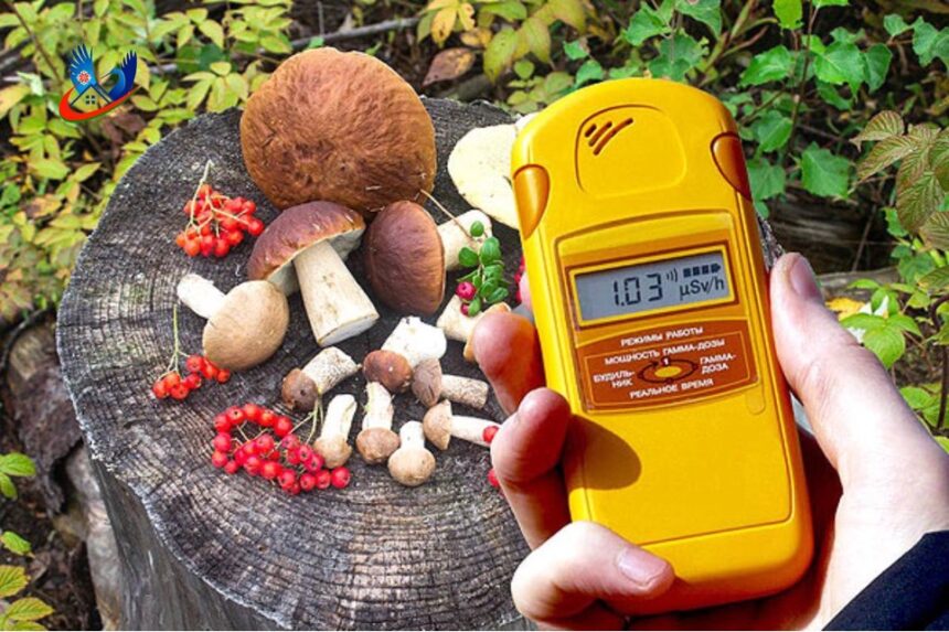 4234234 Исследование продуктов питания на содержание радионуклидов цезия-137
